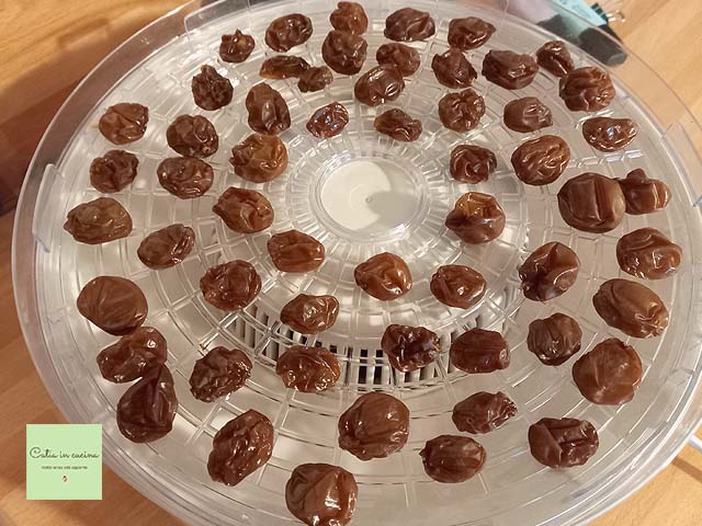 uva seca después de 38 horas