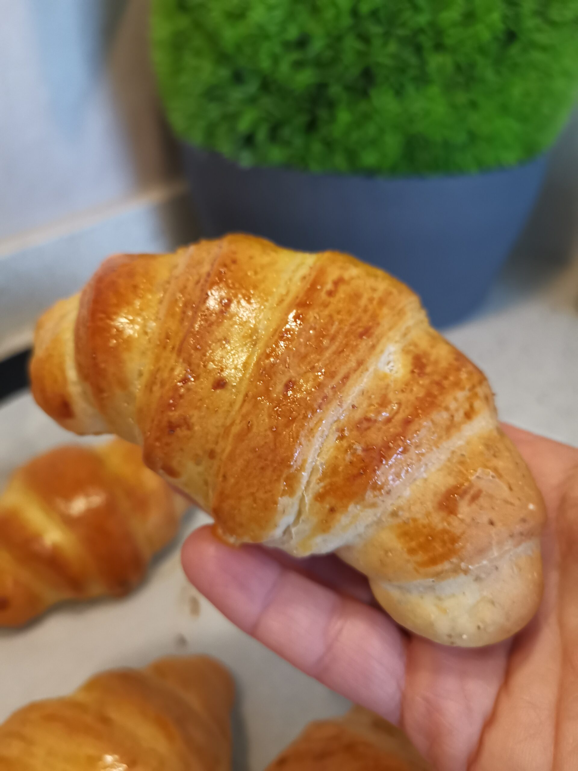 Croissants suavísimos