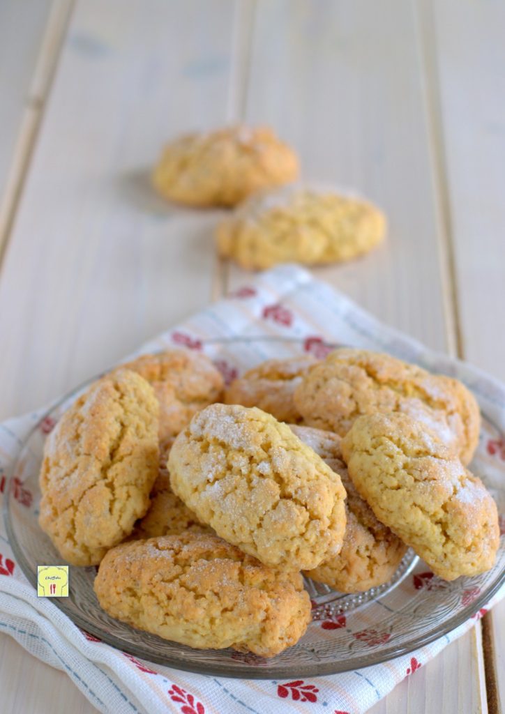 galletas rústicas sin lactosa gp