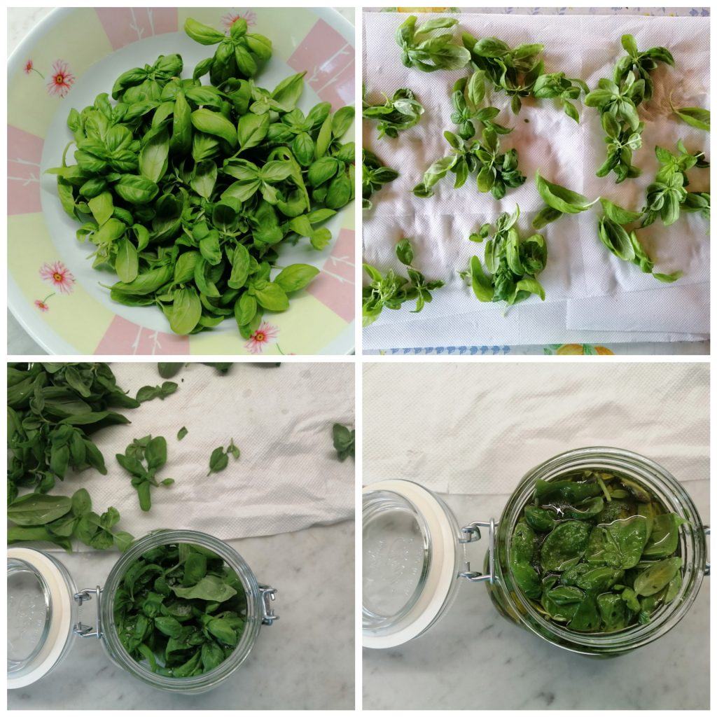 Albahaca en aceite - conserva para el invierno