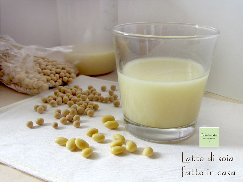 Leche de soja casera