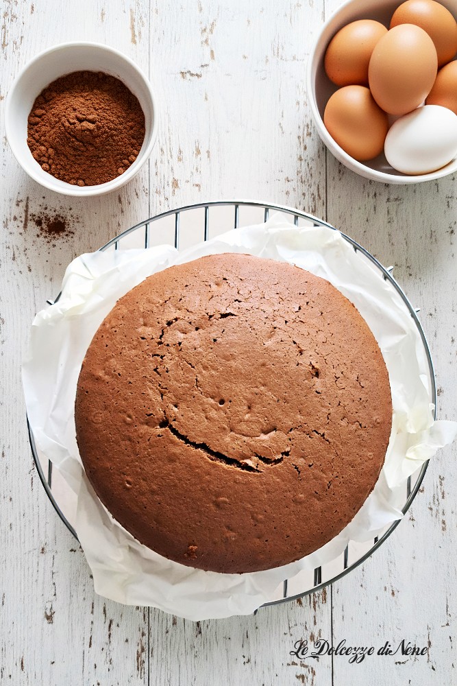 base para tarta de cacao para rellenar