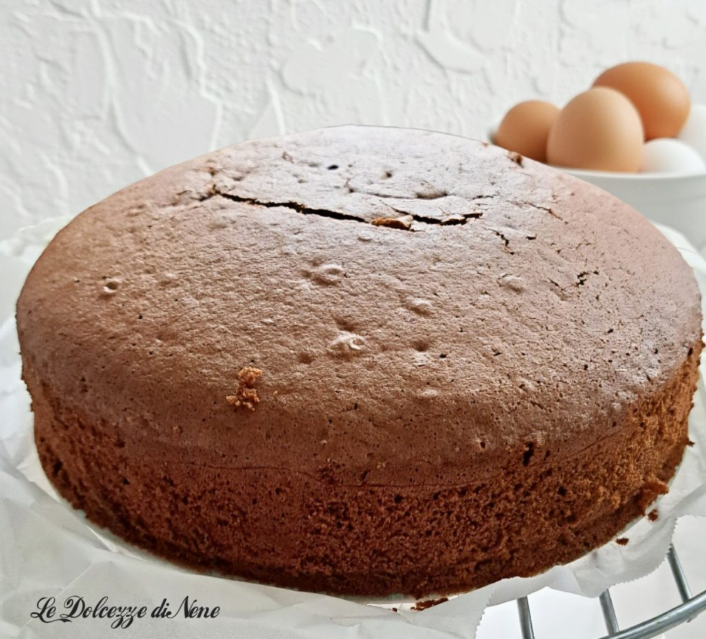 base para tarta de cacao para rellenar
