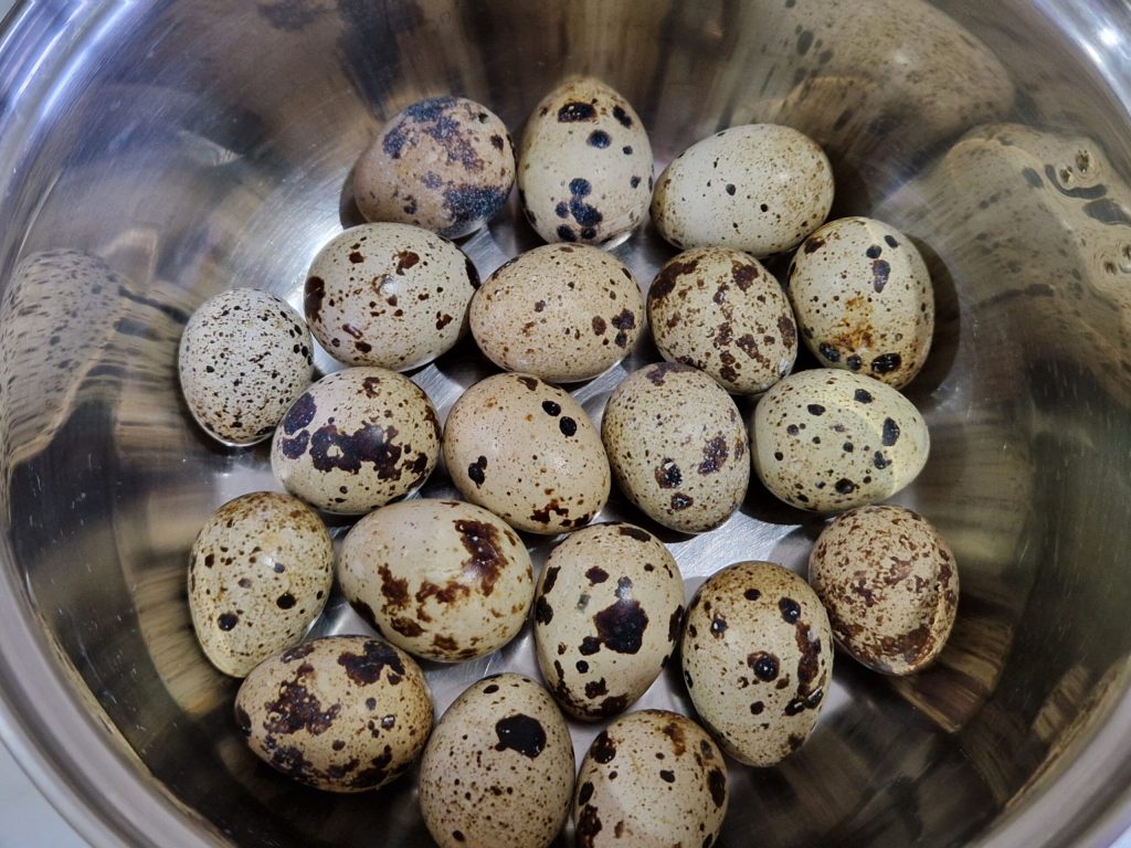 huevos de codorniz
