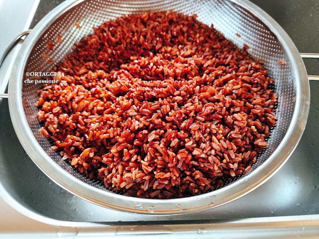 Arroz rojo cocción – recetas fáciles