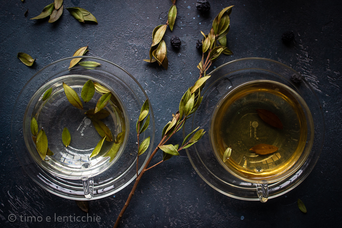 Infusión y decocción de mirto con hojas