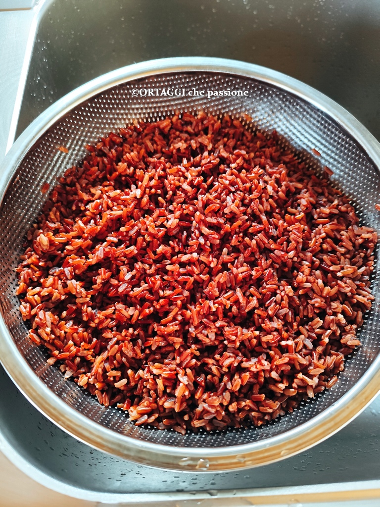 cocción del arroz rojo integral