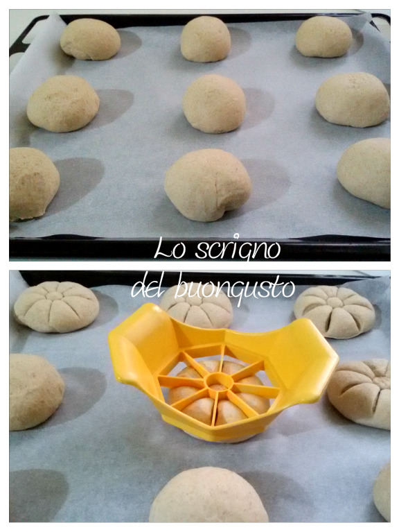 Rosetas con harina de trigo duro negro de las Madonie