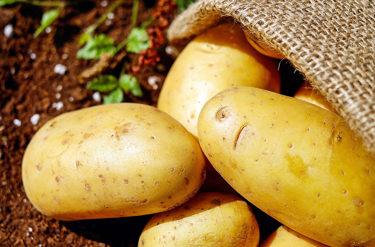 Batatas Cozidas no Micro-ondas