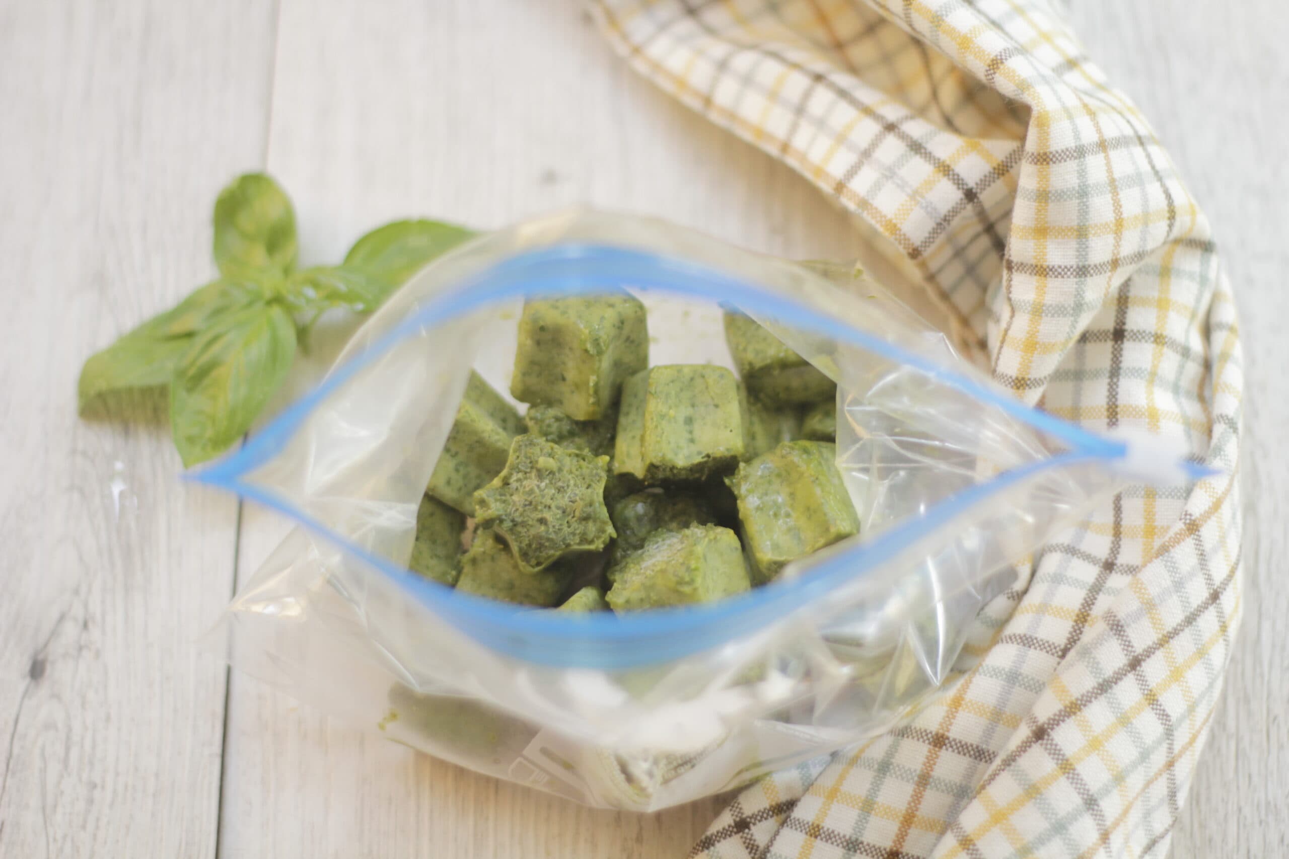 Como conservar o manjericão fresco