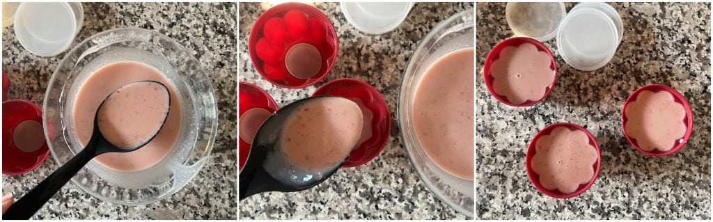 Panna cotta de framboesa
