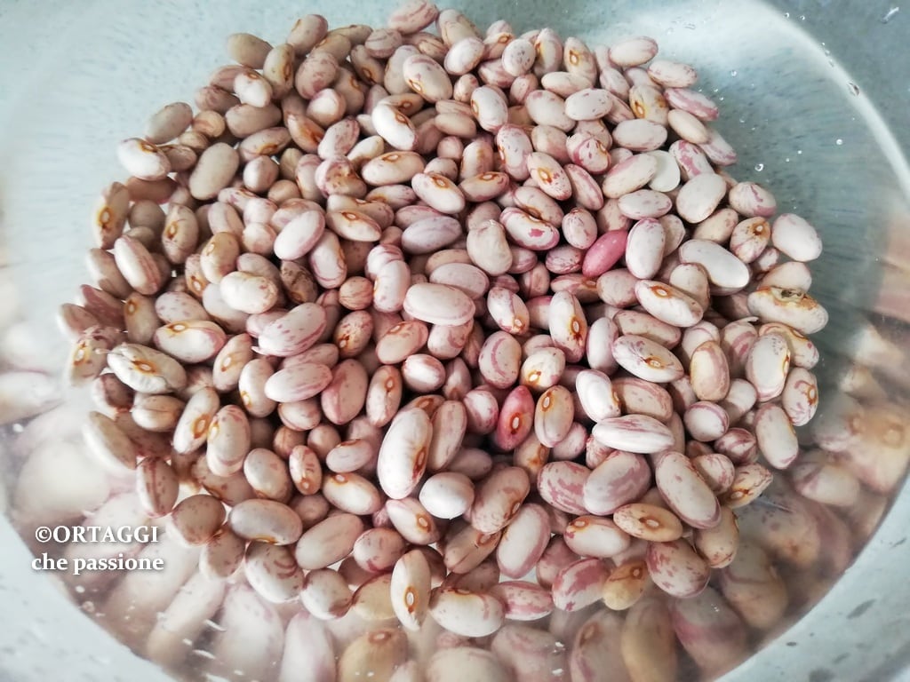 feijões-borlotti-legumes-secos-de-molho