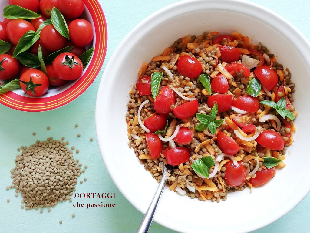 Salada de lentilhas de VERÃO e VEGANA