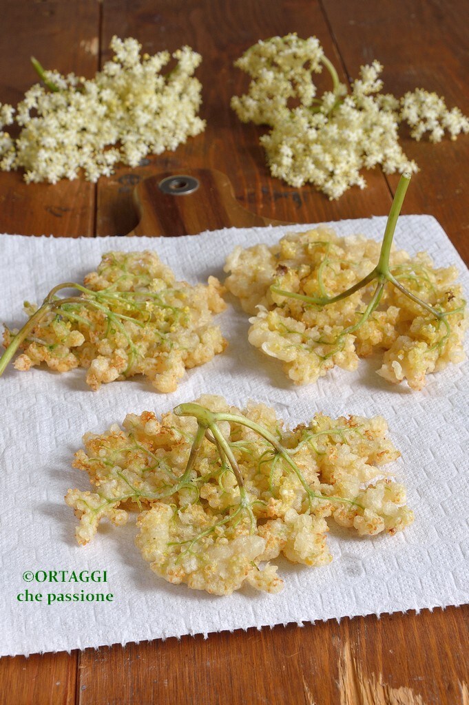 flores de sabugueiro fritas e empanadas