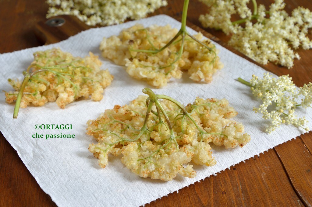 Flores de sabugueiro fritas
