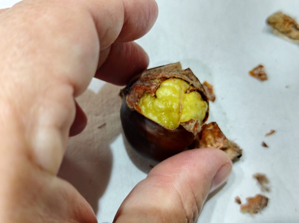 Castanhas na airfryer