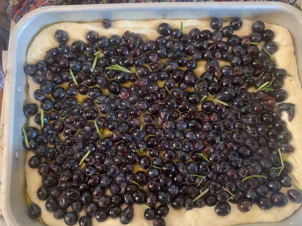 a schiacciata com uvas da Toscana