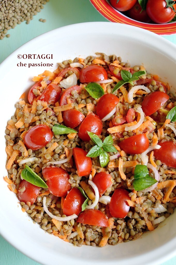 salada de lentilhas com tomates e cenouras