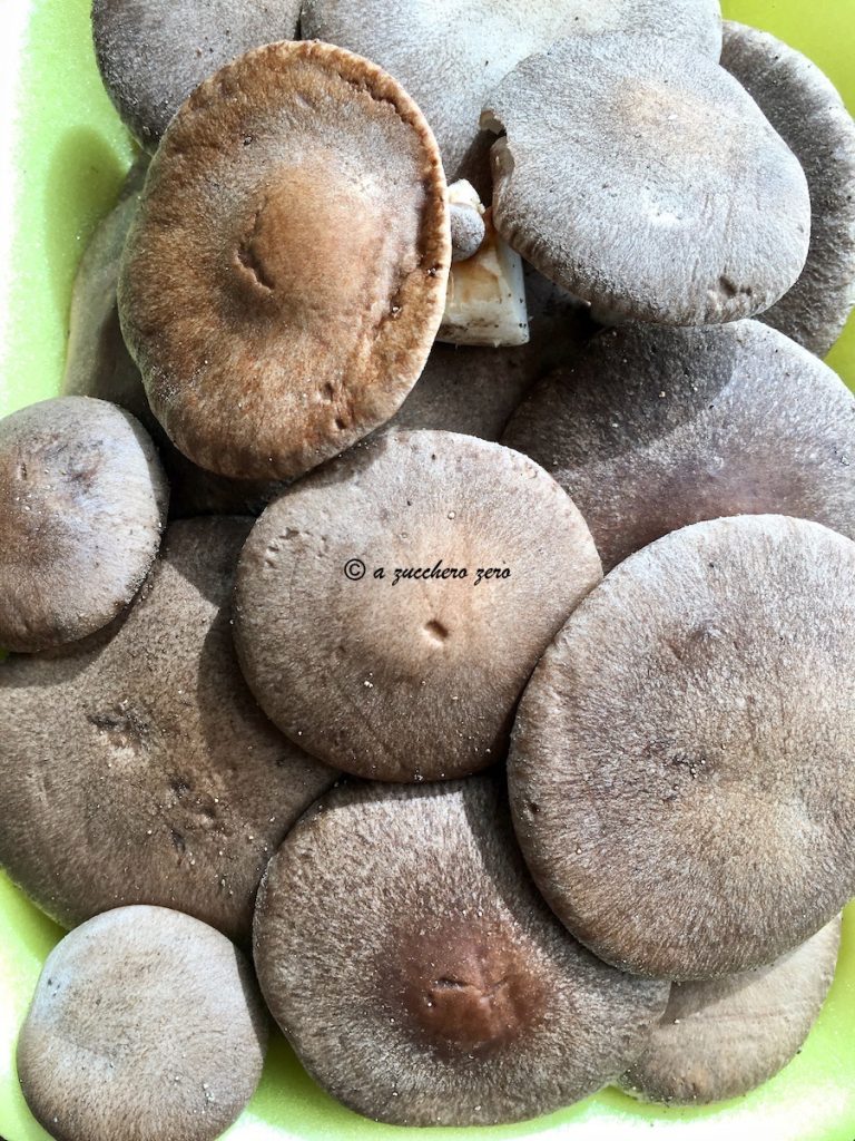 Cogumelos cardoncelli