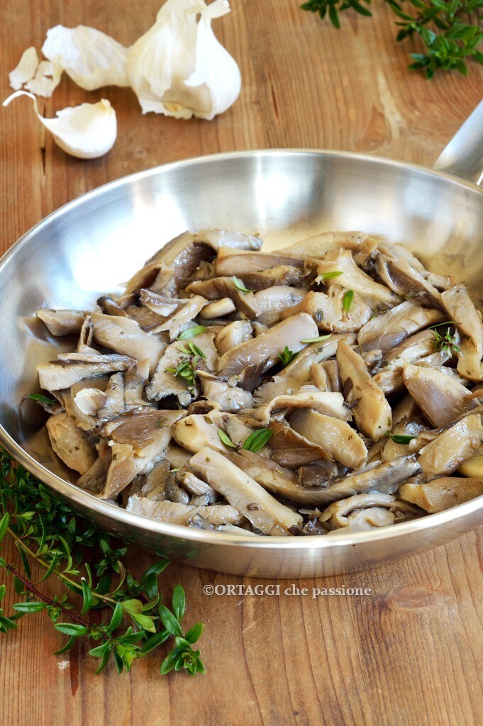 Cogumelos pleurotus na frigideira gratinados