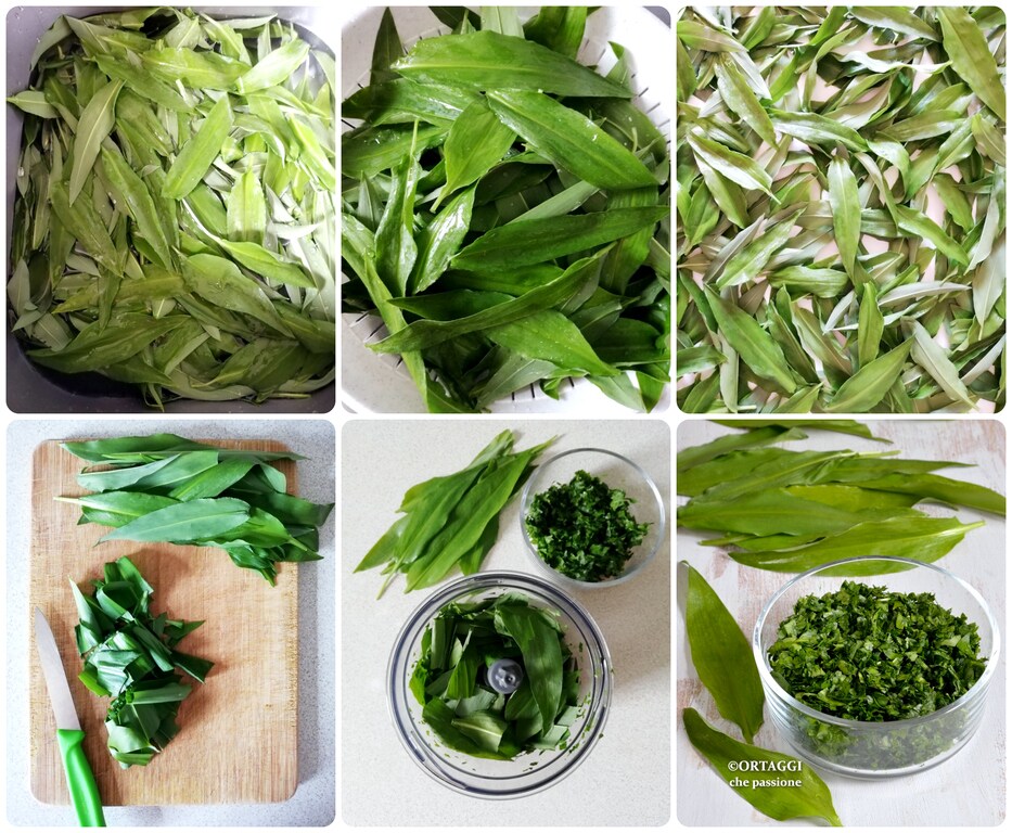 Como conservar alho selvagem no freezer - ORTAGGI che passione by Sara Grissino
