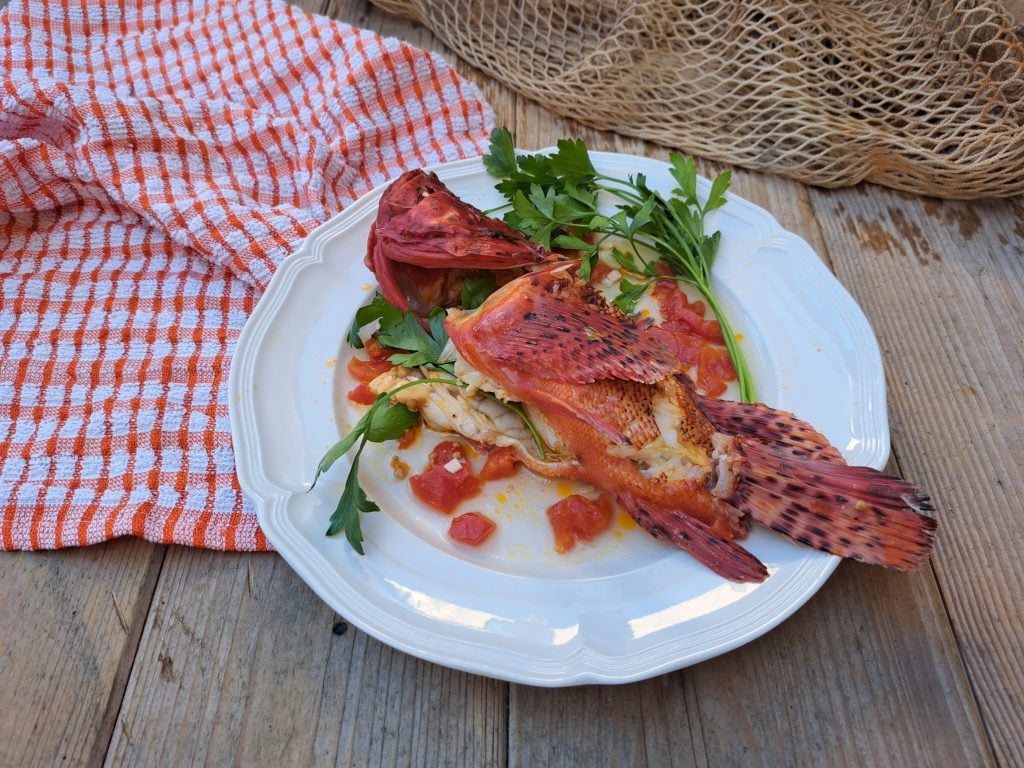 Peixe-capata ou peixe-cebola ao molho