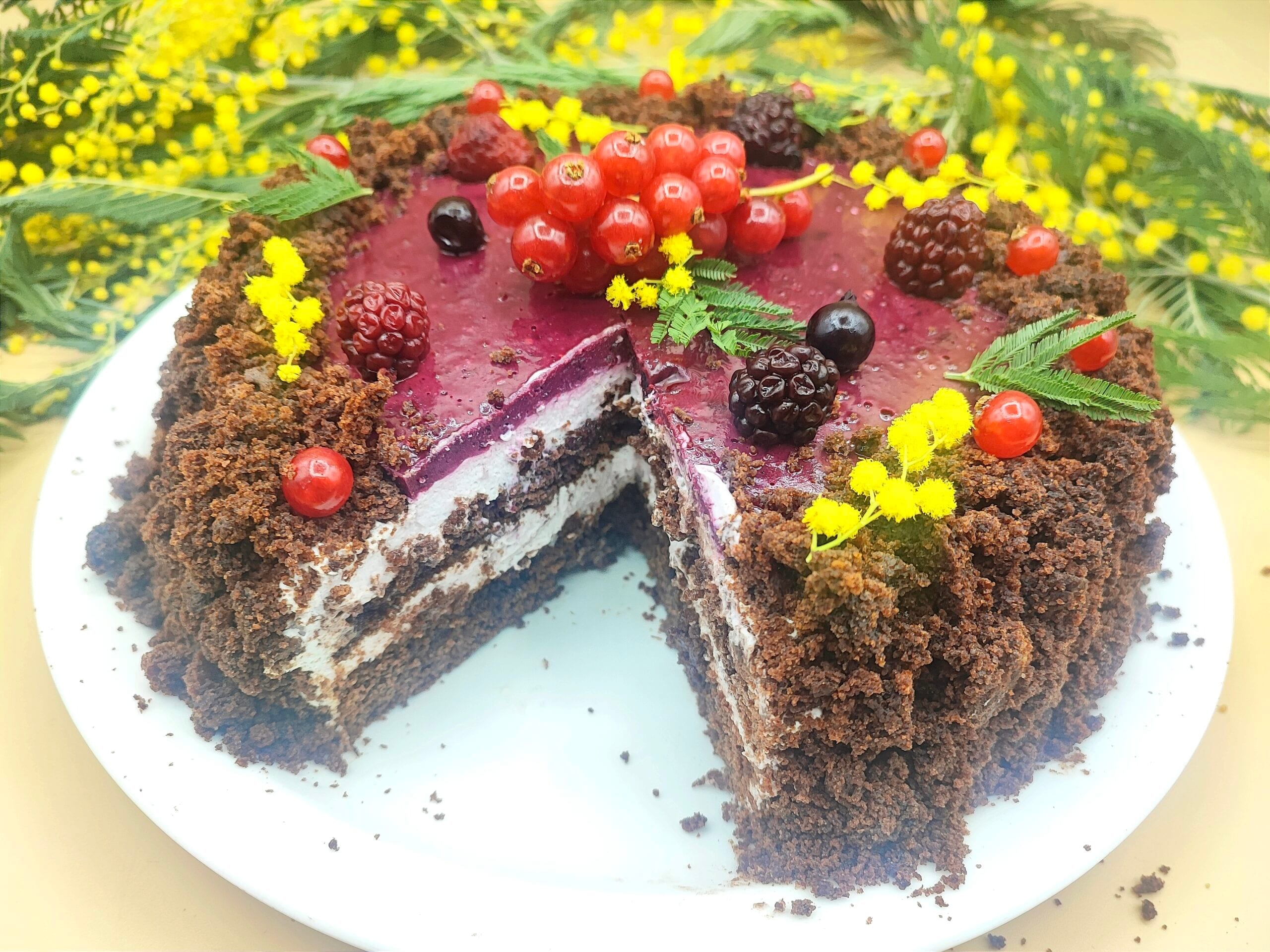 Bolo mimosa de chocolate e frutas vermelhas sem ovos