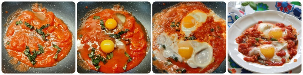 ovos com tomate e manjericão fresco