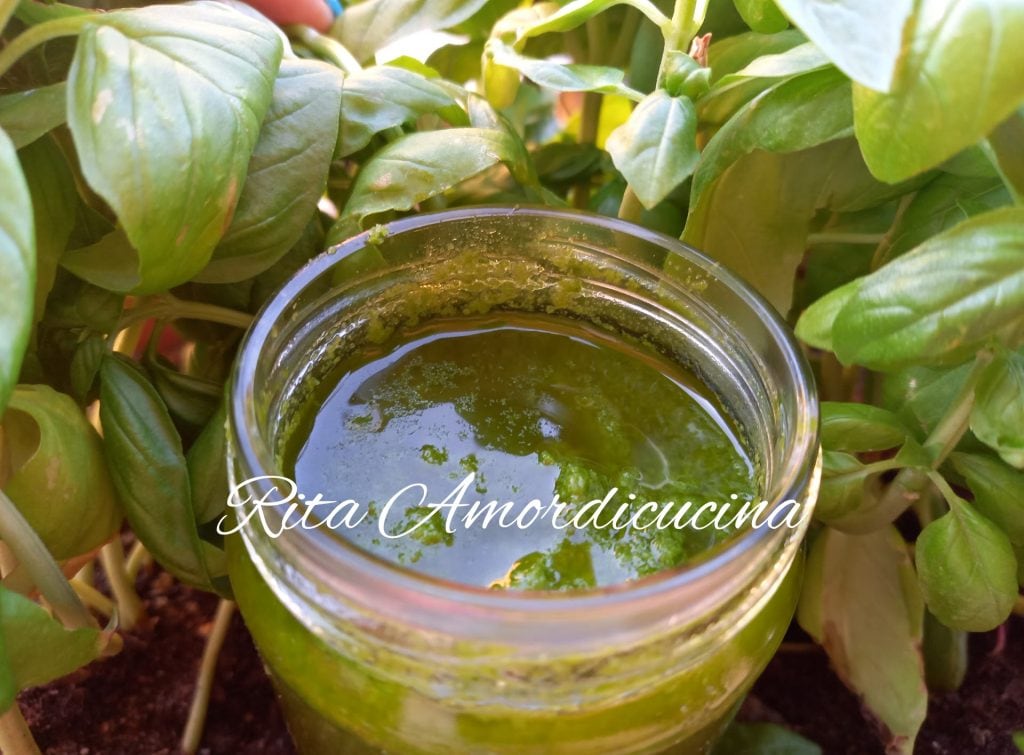 Receita de caldo ou tempero de manjericão