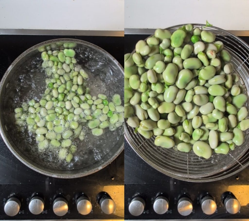 Como Congelar Favas Frescas: O Guia Passo a Passo para Conservá-las da Melhor Forma (Branqueamento Incluído)