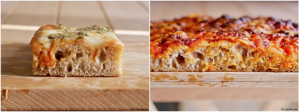Pizza com farinha integral de trigo mole e tipo 2