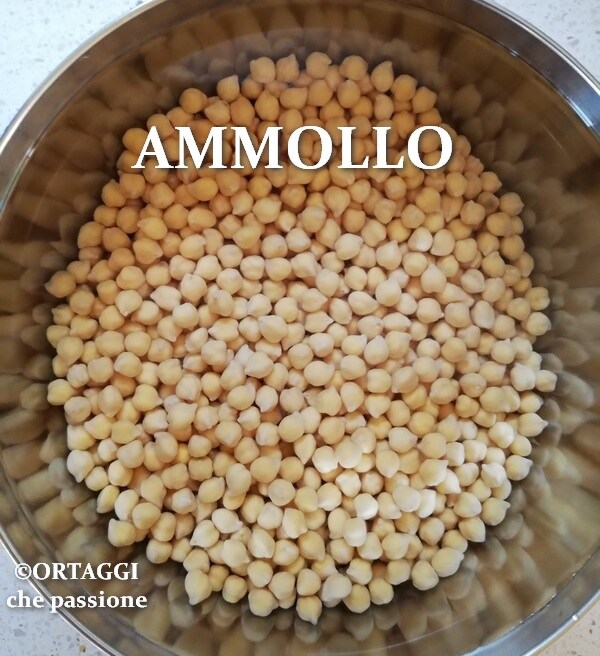 molho de grão-de-bico antes do cozimento