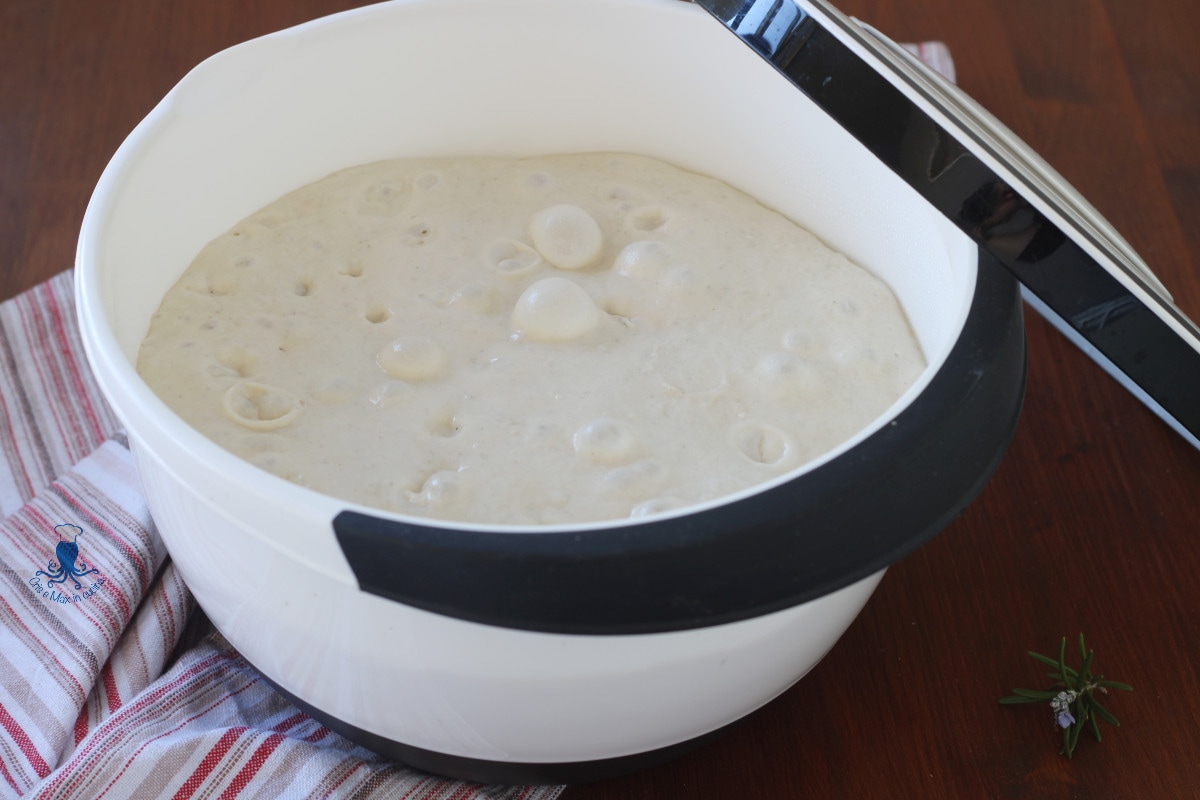 Massa de pizza com alta hidratação (70%).