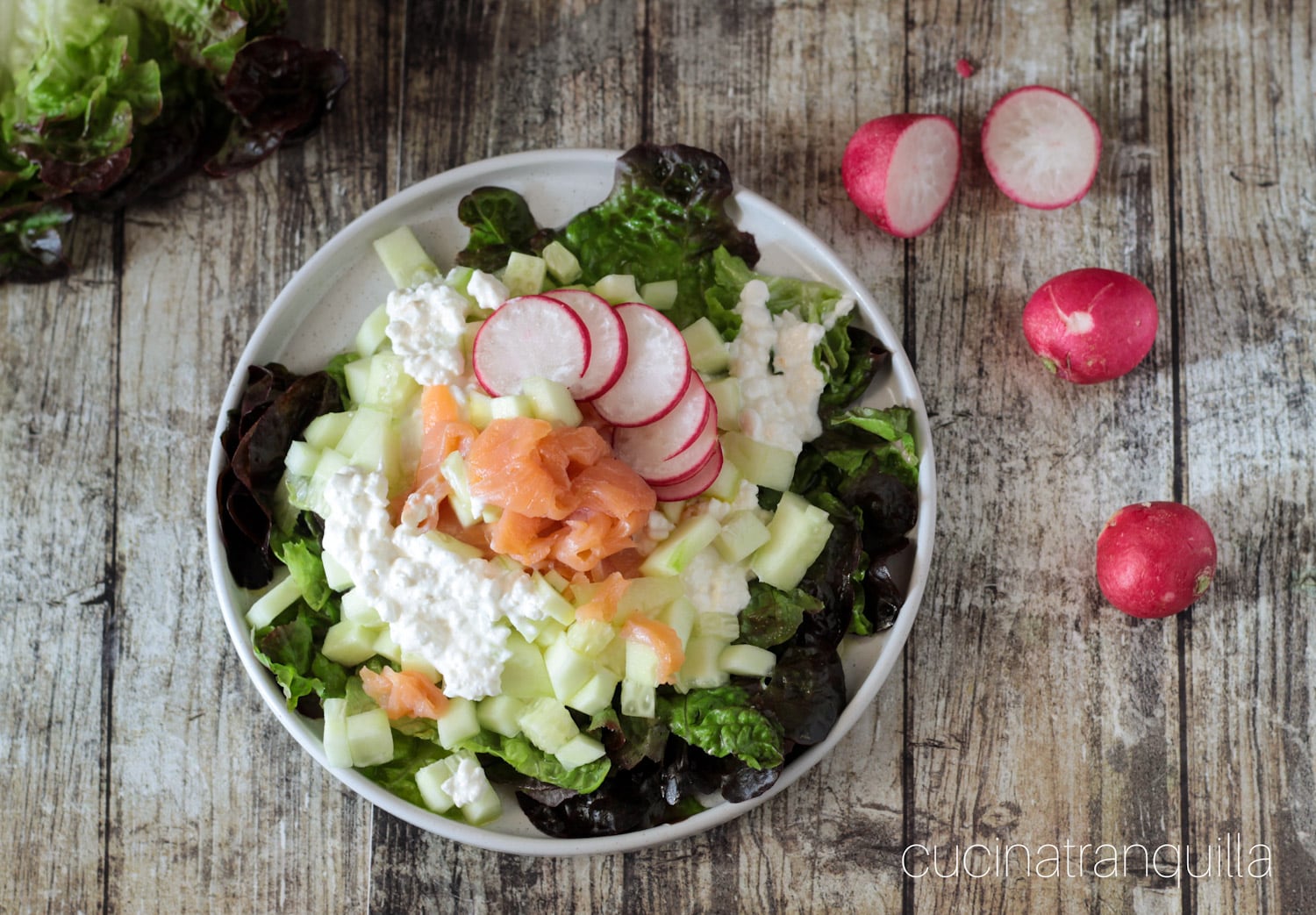 Salada fresca com queijo cottage