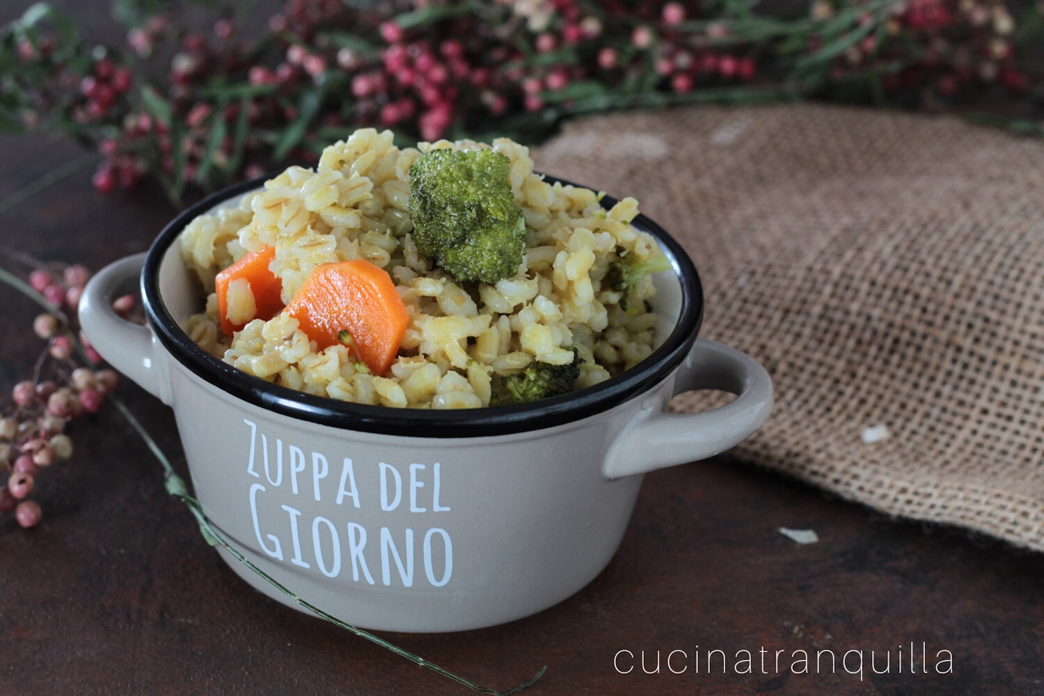 Sopa de cevada e vegetais