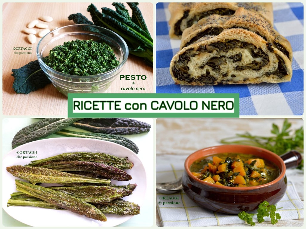 Receitas de Couve Negra