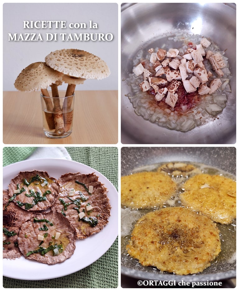 RECEITAS mazza de tambor ORTAGGI che passione