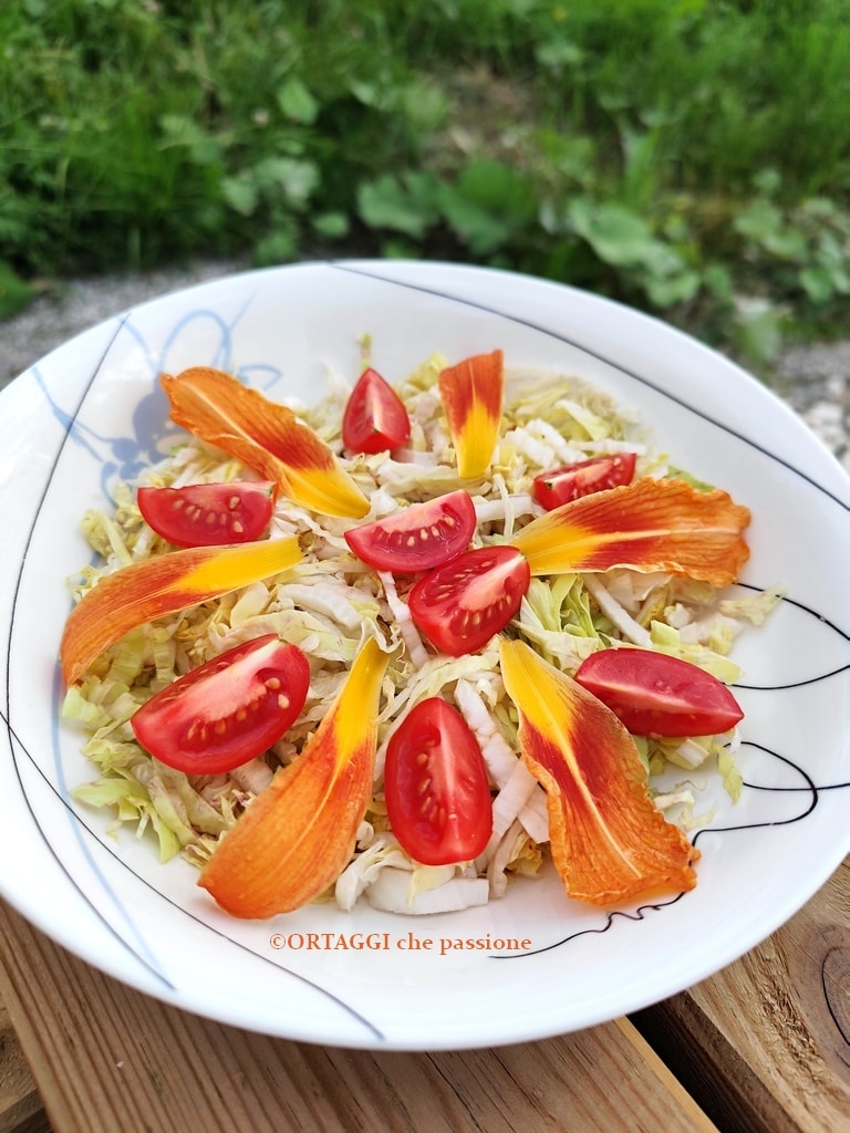 Salada com lírios de São José Hemerocallis