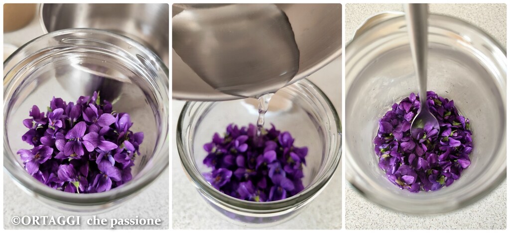adicionar água quente às violetas