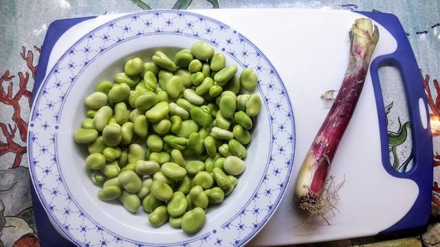 favas frescas