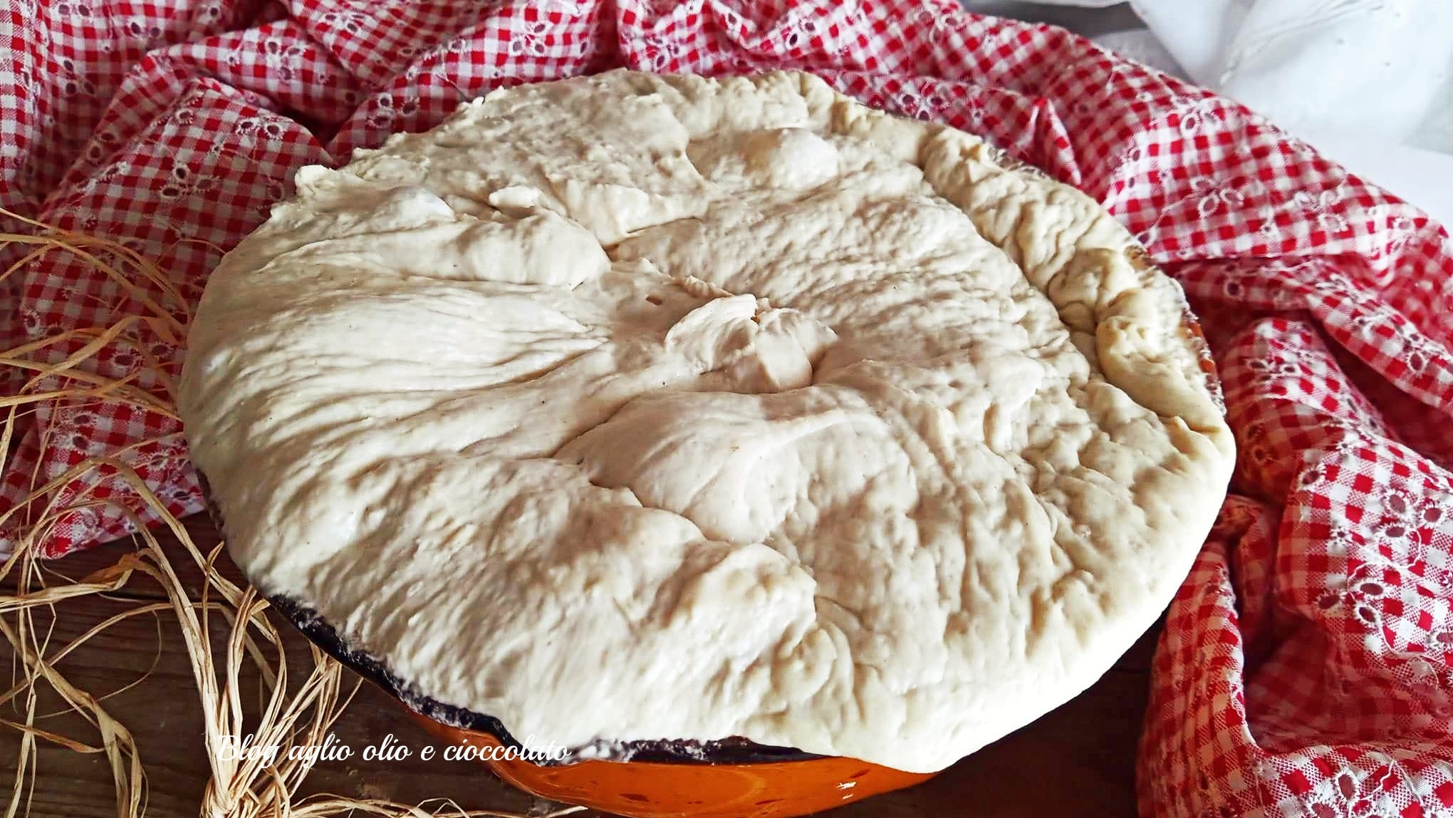 PIZZA DE COLHER MASSA SEM AMASSAR