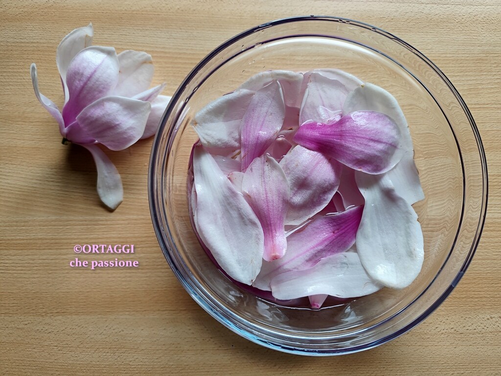 Flores de magnólia – RECEITAS