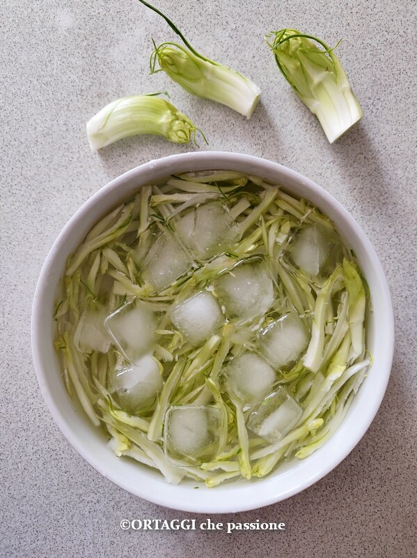 puntarelle em água fria e gelo