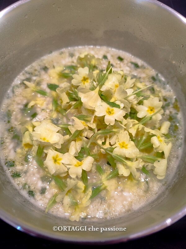 adicionar as flores ao risoto de prímulas