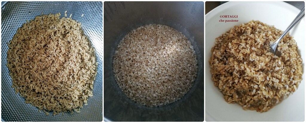 aveia em grão cozida por absorção- ORTAGGI che passione