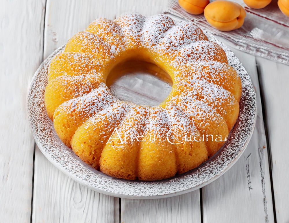 Bolo margarida de damascos