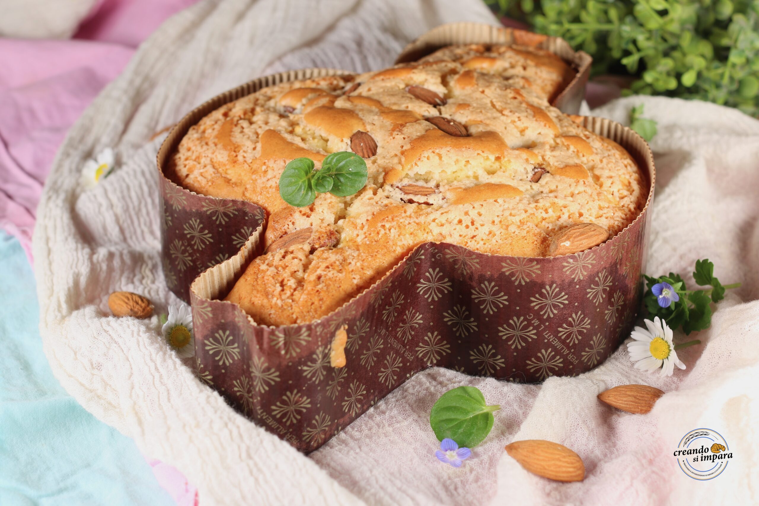 Bolo Colomba