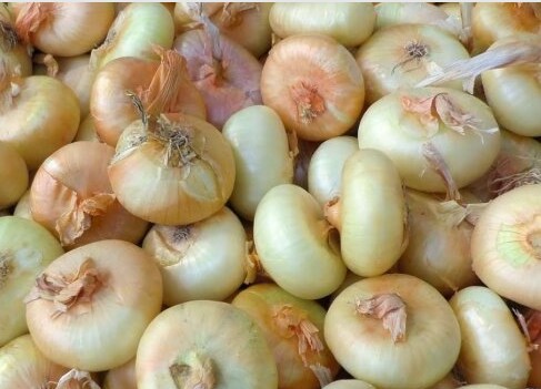 cebolinhas borettane