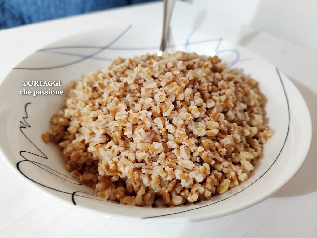 Como cozinhar espelta – COZIMENTO RÁPIDO em 10 minutos