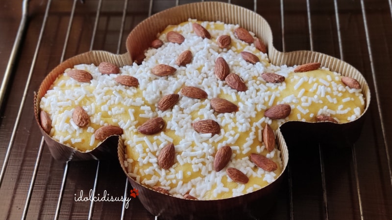 idolcidisusy a colomba